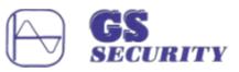 GS Security